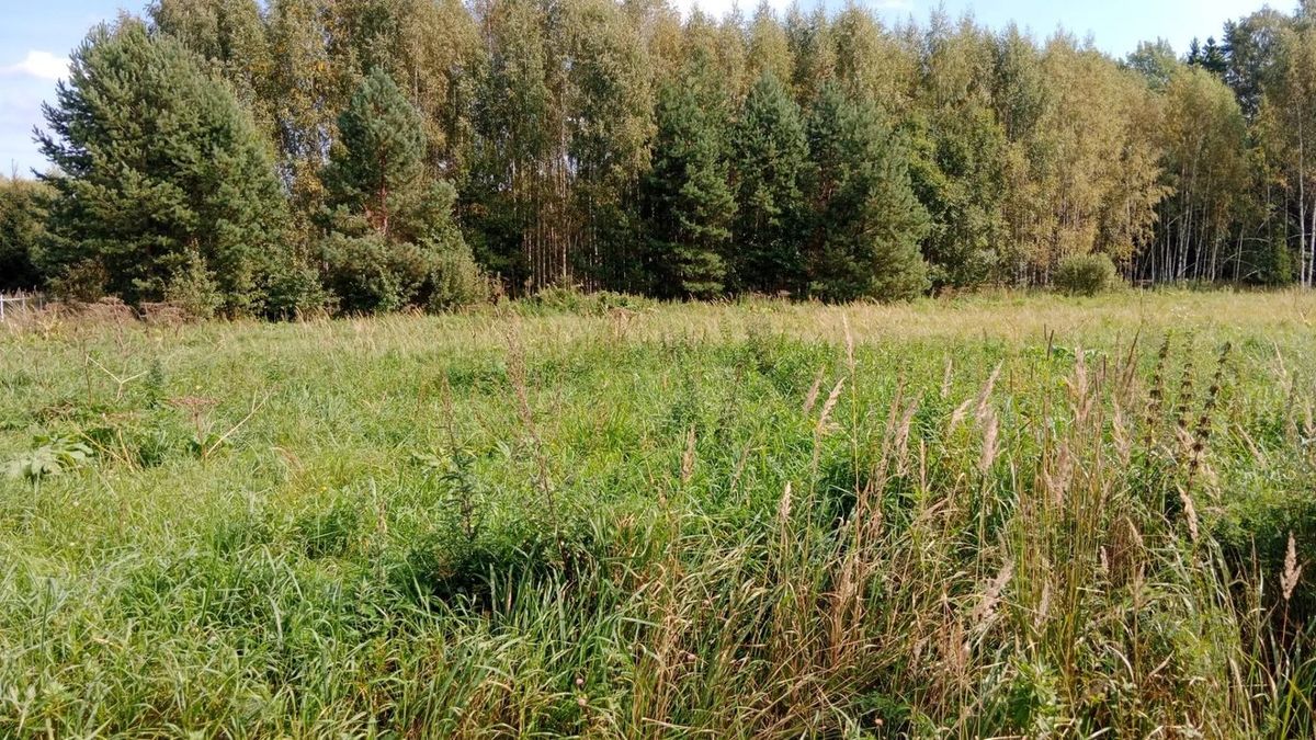Продажа участка 25,25 сот. под ЛПХ — Московская область, лот 1