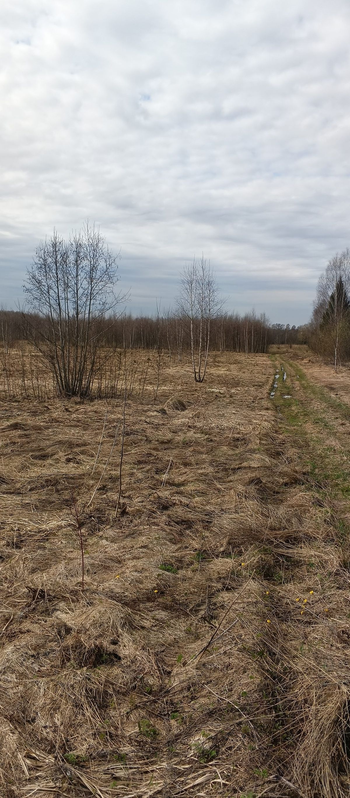 Продажа участка 64,14 сот. под сельхоз