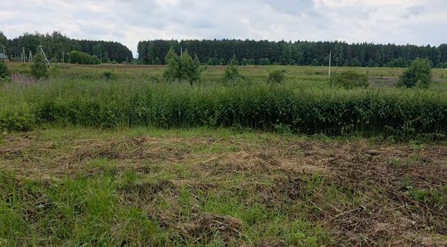 Продажа участка 13,01 сот. под ИЖС — Московская область