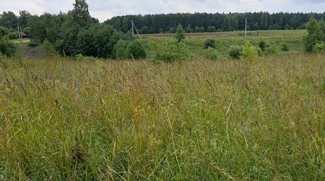 Аренда участка 15 сот. под ЛПХ — Московская область
