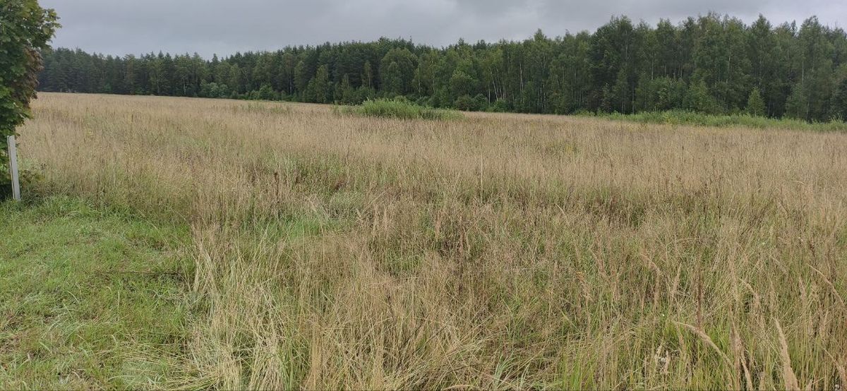 Продажа участка 9,5 сот. под ЛПХ — Московская область