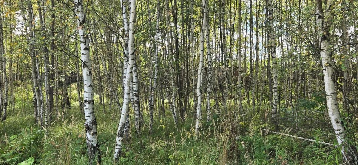 Аренда участка 2,35 га под производство