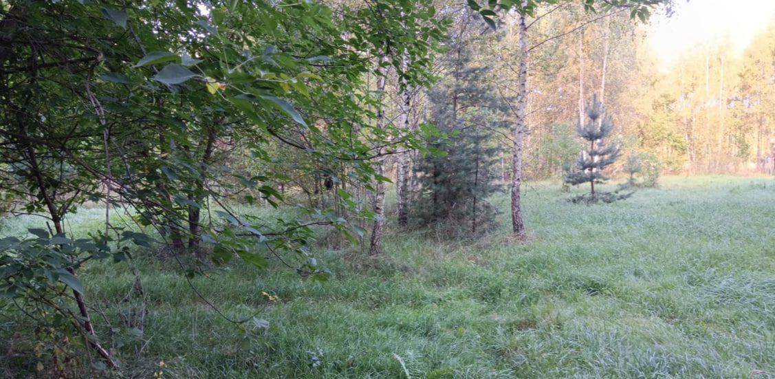 Продажа участка 11,91 сот. под ЛПХ — Московская область
