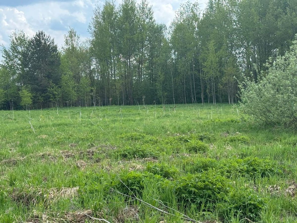 Продажа участка 10 сот. под ИЖС — Московская область