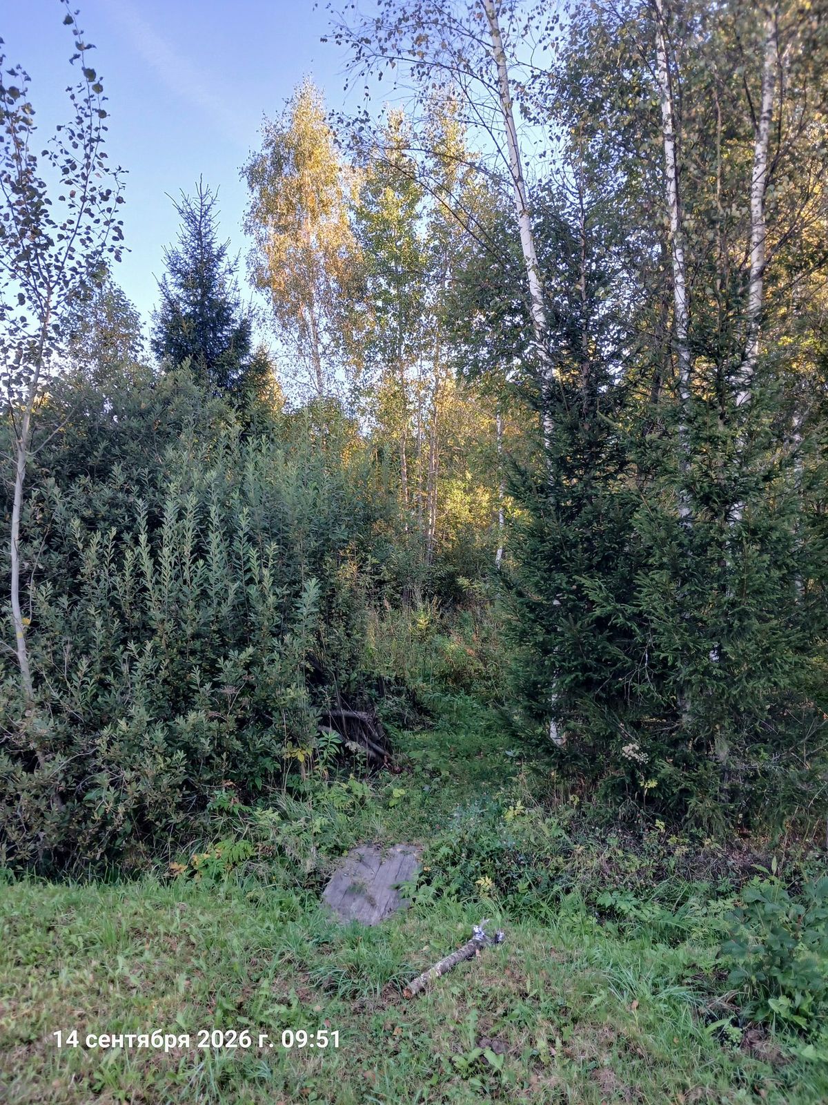 Аренда участка 19,28 сот. под ИЖС — Московская область
