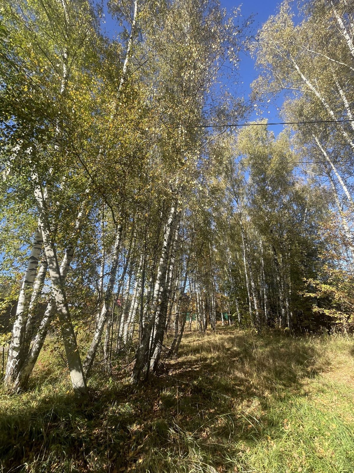 Аренда участка 6,2 сот. под ИЖС — Московская область