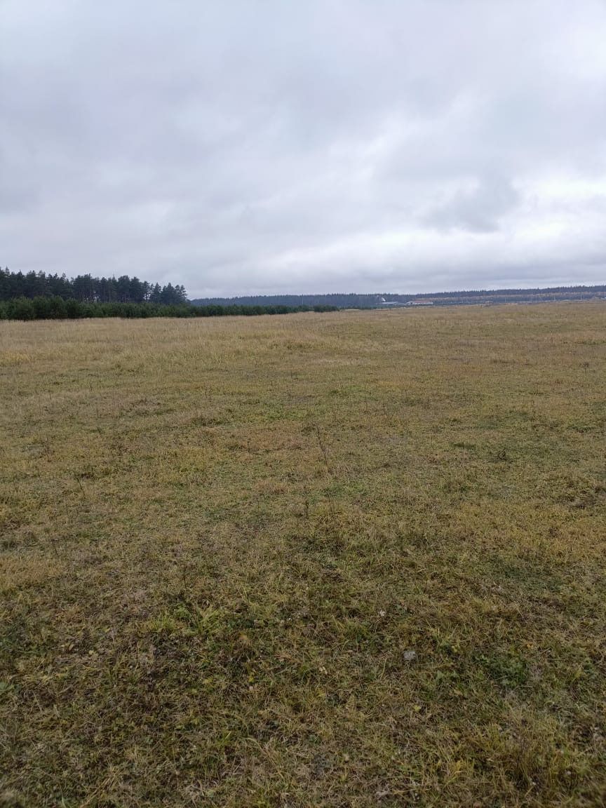 Аренда участка 20,23 сот. под ИЖС — обл. Владимирская