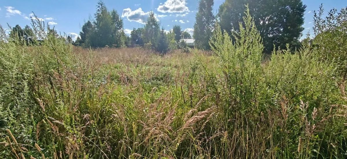 Аренда участка 8,42 сот. под ЛПХ — Московская область, лот 1