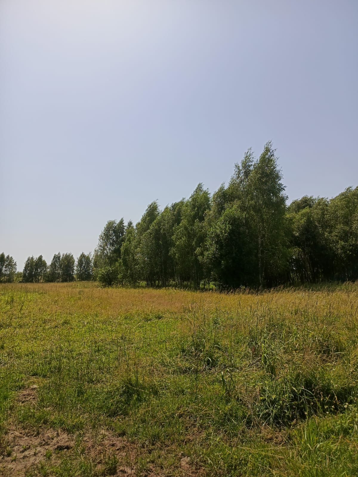 Продажа участка 10 сот. под ИЖС — Московская область