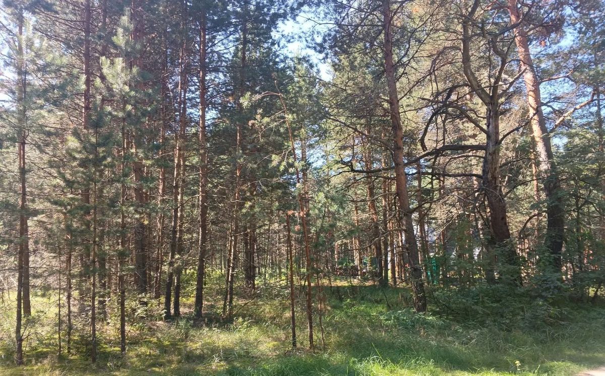 Продажа участка 19,7 сот. под ЛПХ — Московская область
