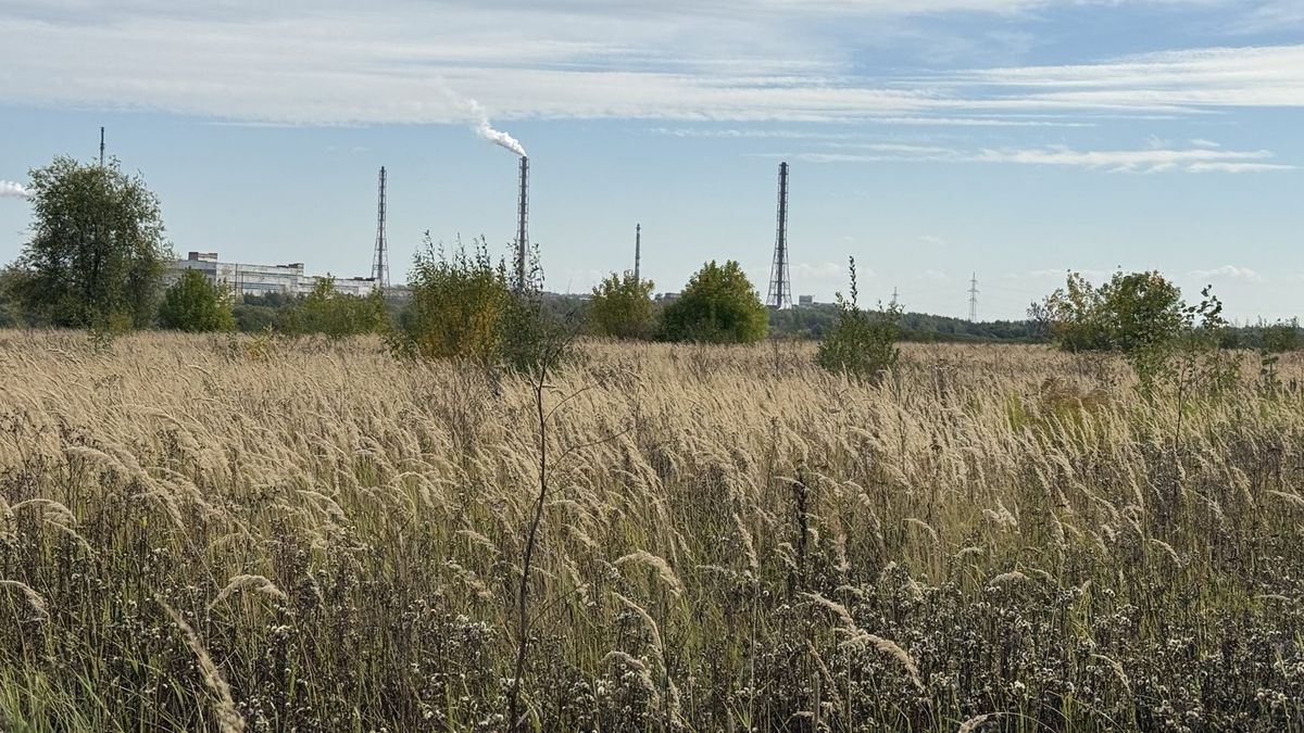 Продажа участка 6 сот. под ИЖС — Московская область (0060210:2988)
