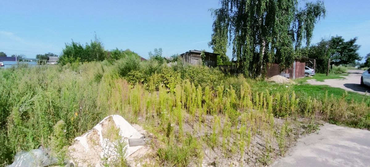 Продажа участка 19,99 сот. — Нижегородская область