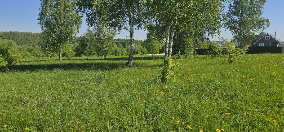 Продажа участка 11,45 сот. под ЛПХ — Московская область, лот 1