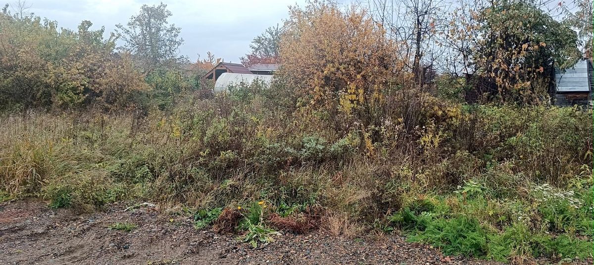 Аренда участка 4,06 сот. под садоводство — Красноярский