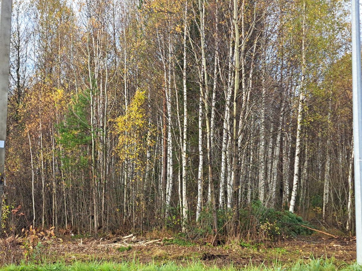 Аренда участка 10,27 сот. под ИЖС — Тюменская область