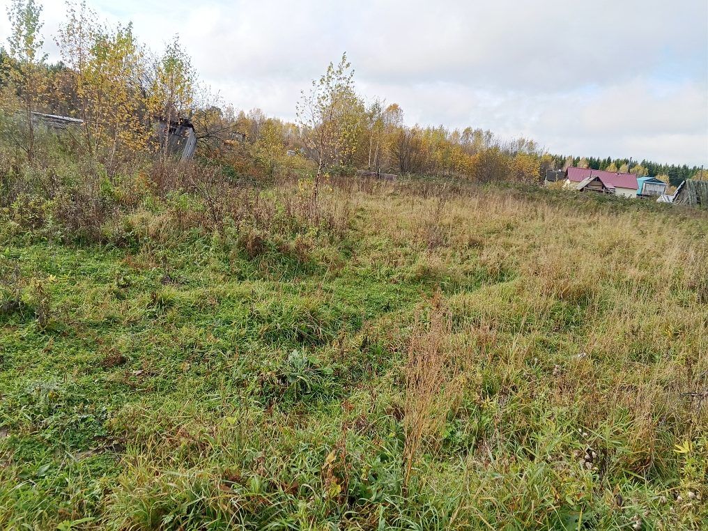 Аренда участка 16,35 сот. под ИЖС — Тюменская область