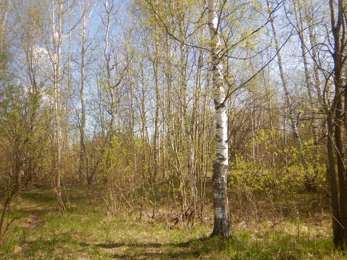 Продажа участка 12,39 сот. под ИЖС — Санкт-Петербург
