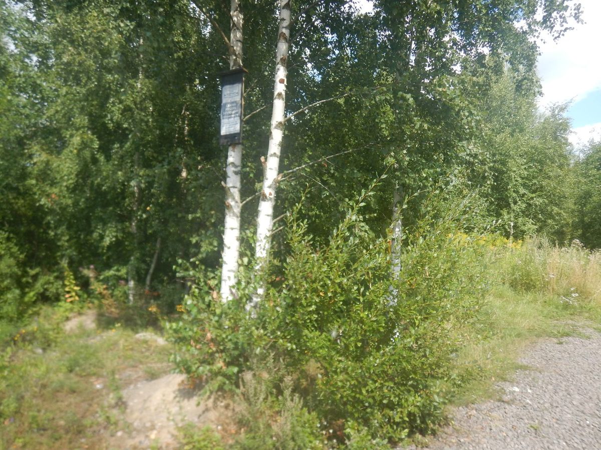 Аренда участка 12 сот. под ИЖС — Санкт-Петербург