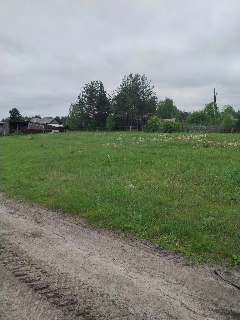 Аренда участка 20,18 сот. под ЛПХ — Республика Коми