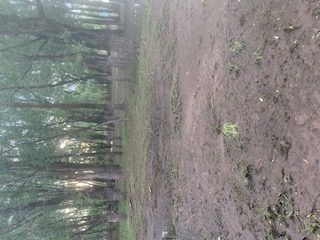 Материал из документации торгов