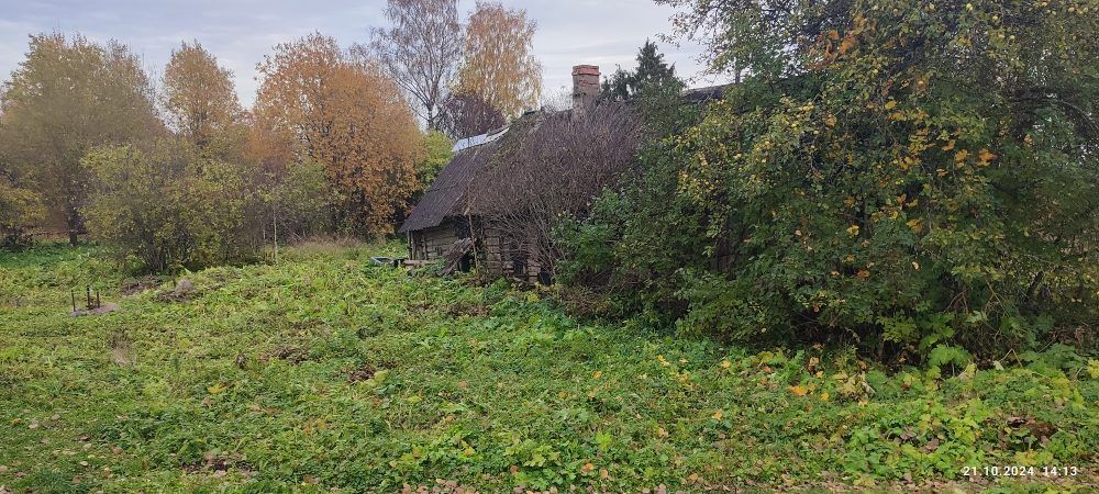 Продажа участка 11 сот. под ЛПХ — Ленинградская область