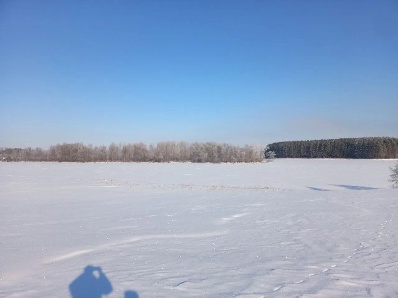 Аренда участка 9,5 га — Республика Башкортостан