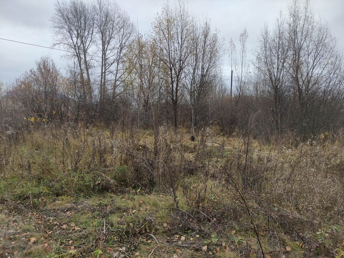Аренда участка 18,07 сот. под жилую застройку, лот 1