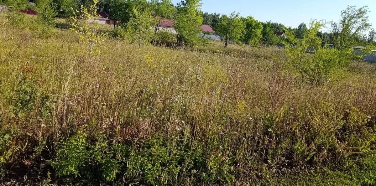 Продажа участка 14,81 сот. под ЛПХ — обл. Саратовская