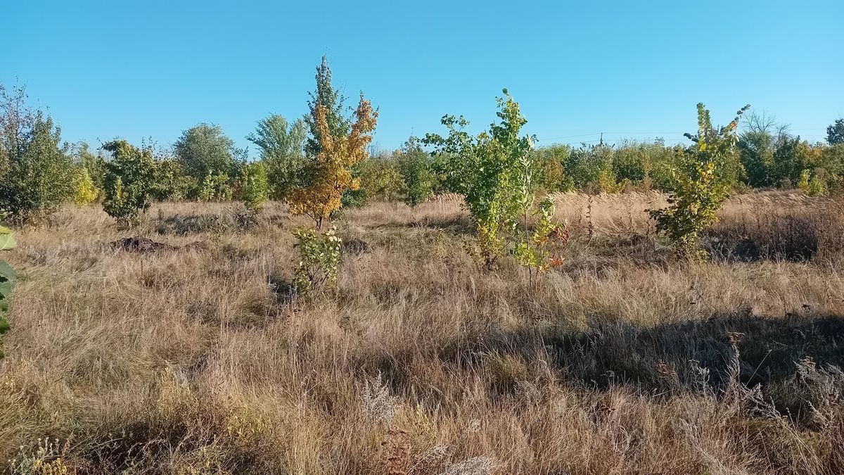 Аренда участка 11,96 сот. под ИЖС — Волгоградская