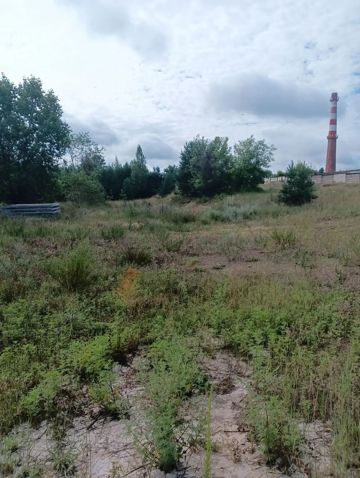 Аренда участка 92,39 сот. под производство
