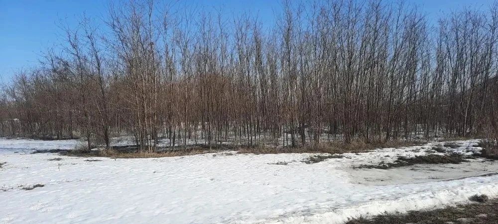 Участок 27,27 сот. под ЛПХ — Воронежская область