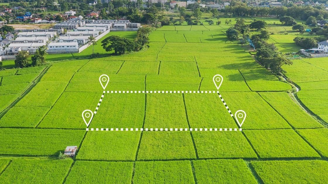 Продажа участка 5,56 сот. под ЛПХ — обл. Новгородская