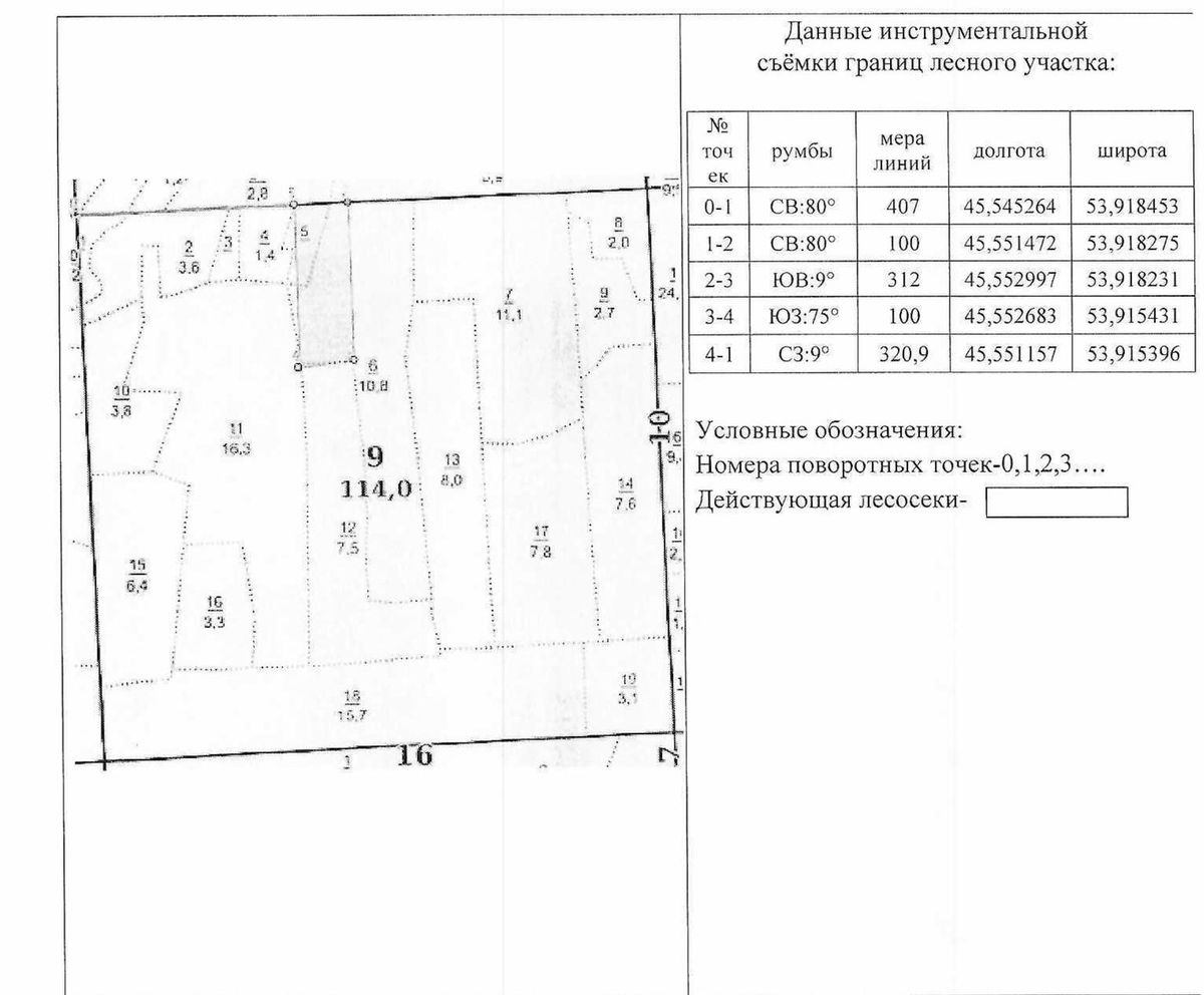 Продажа участка 3,1 га под заготовку древесины