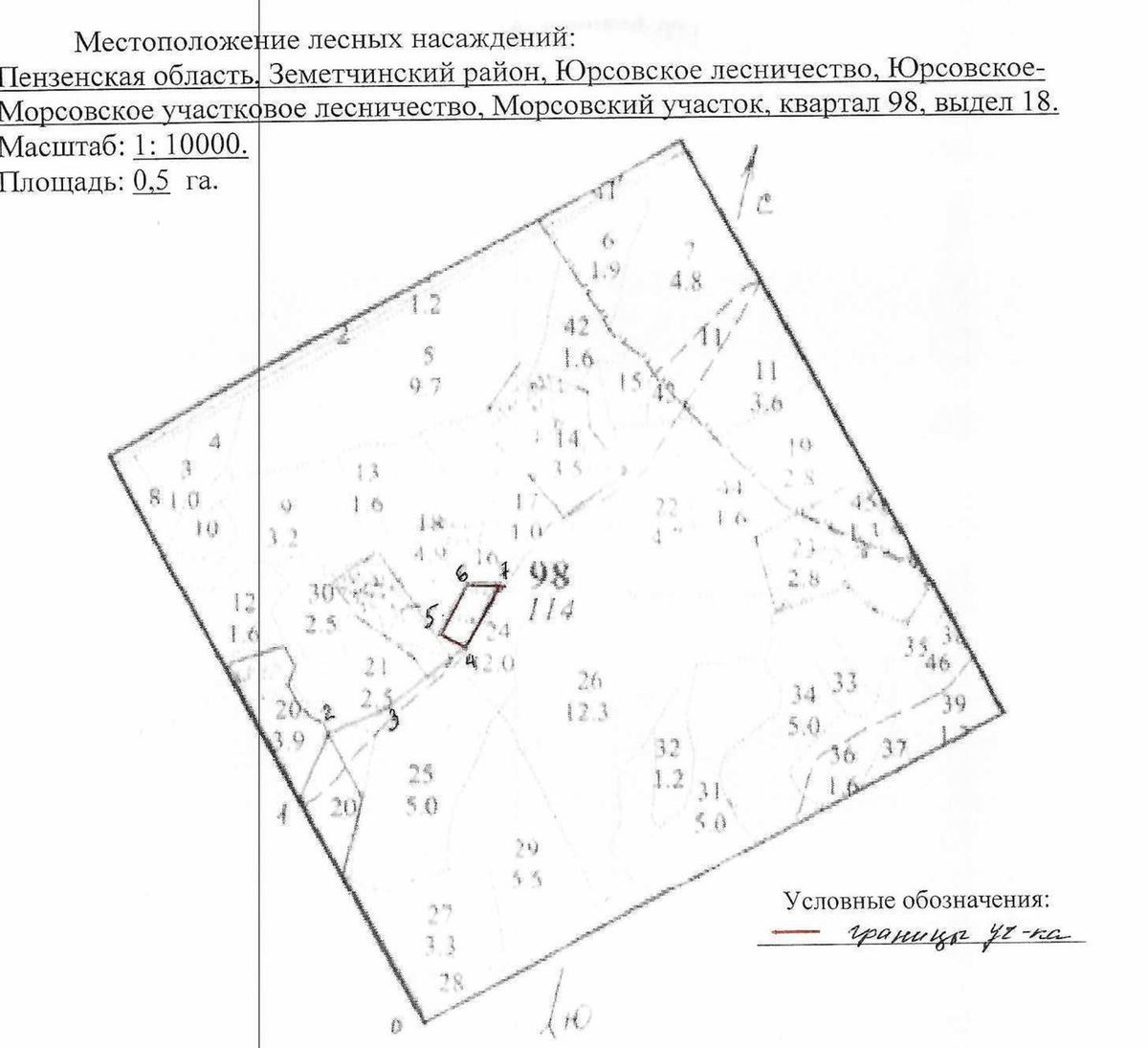 Продажа участка 50 сот. под заготовку древесины