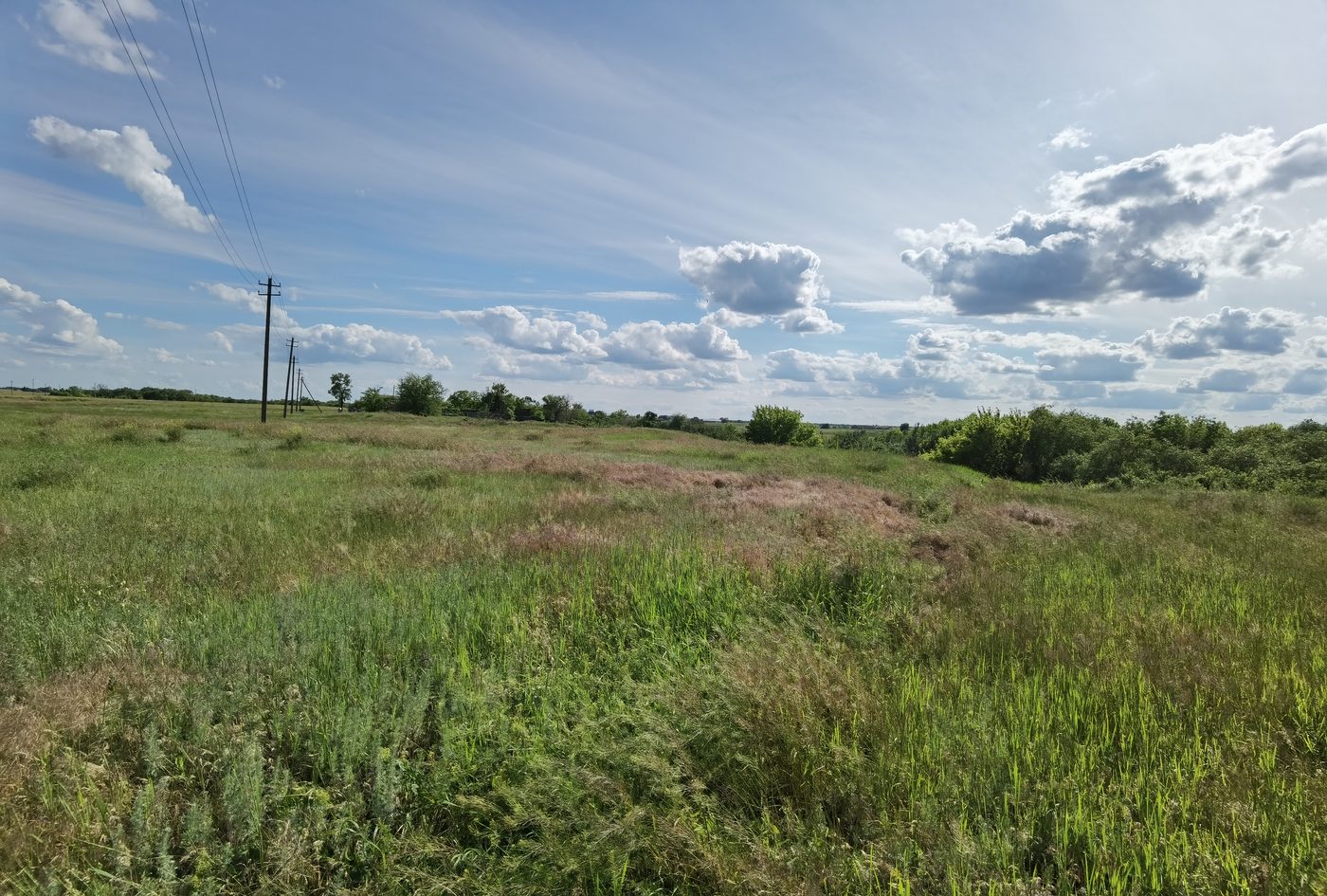 Продажа участка 30 сот. под ЛПХ — Ростовская область, лот 2