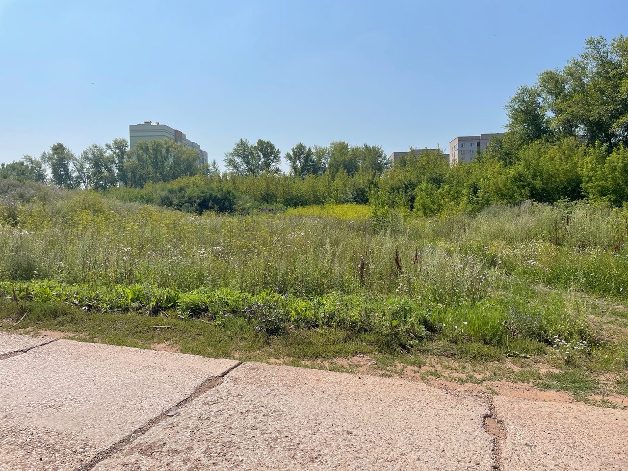 Аренда участка 64,82 сот. — Республика Башкортостан
