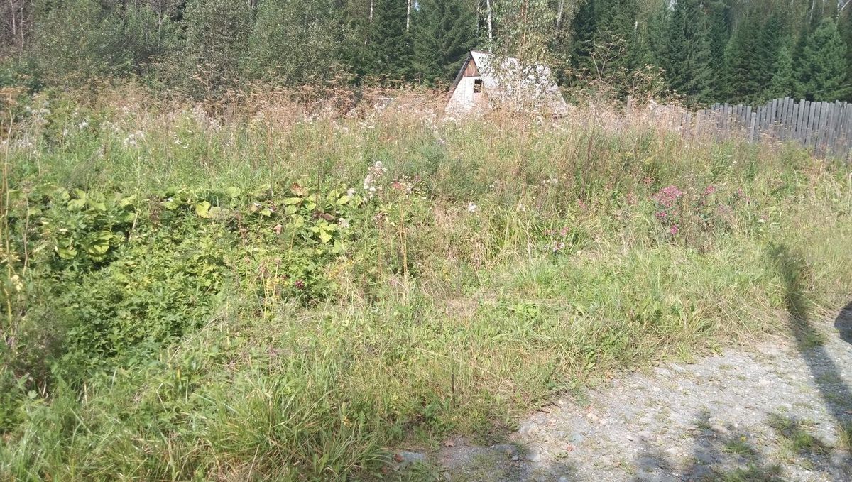 Аренда участка 7,18 сот. под садоводство