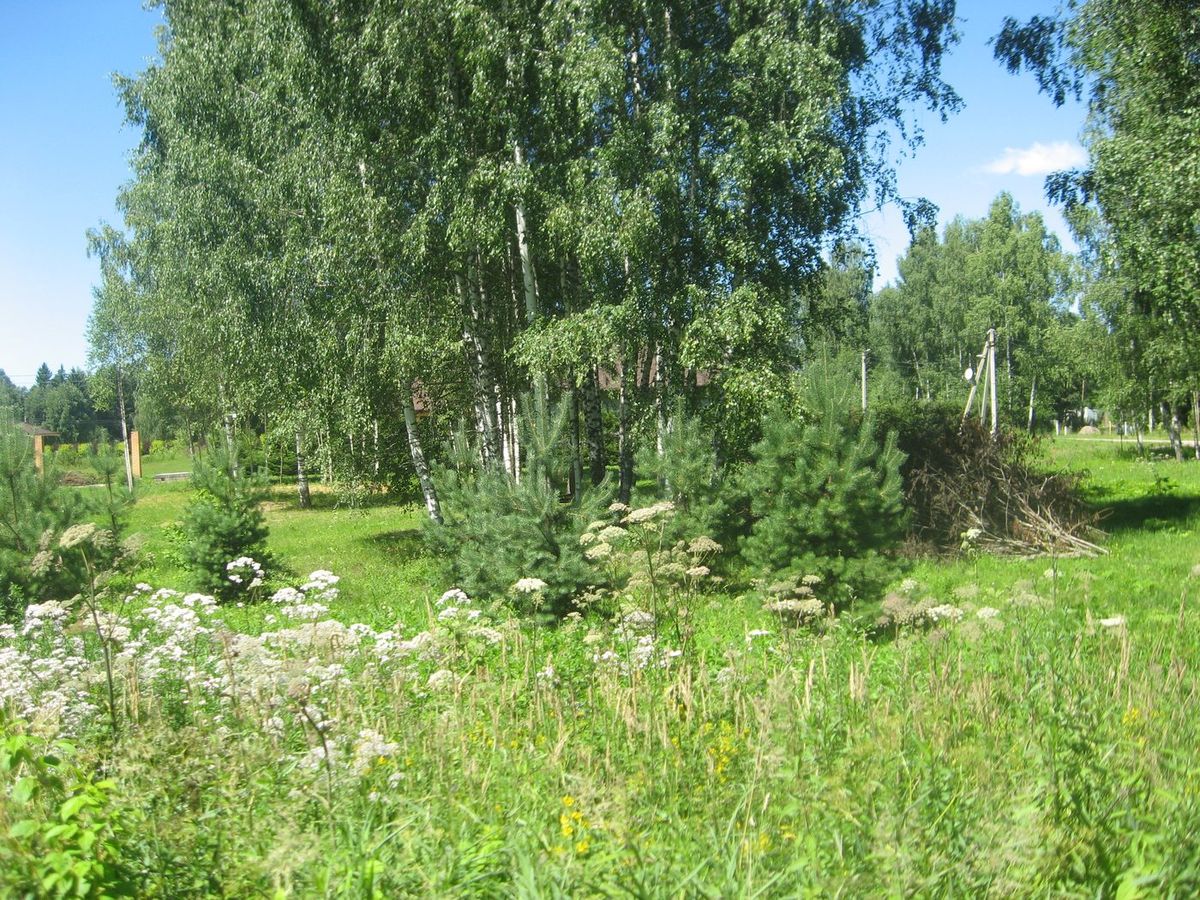 Аренда участка 12,42 сот. под ИЖС — Московская область
