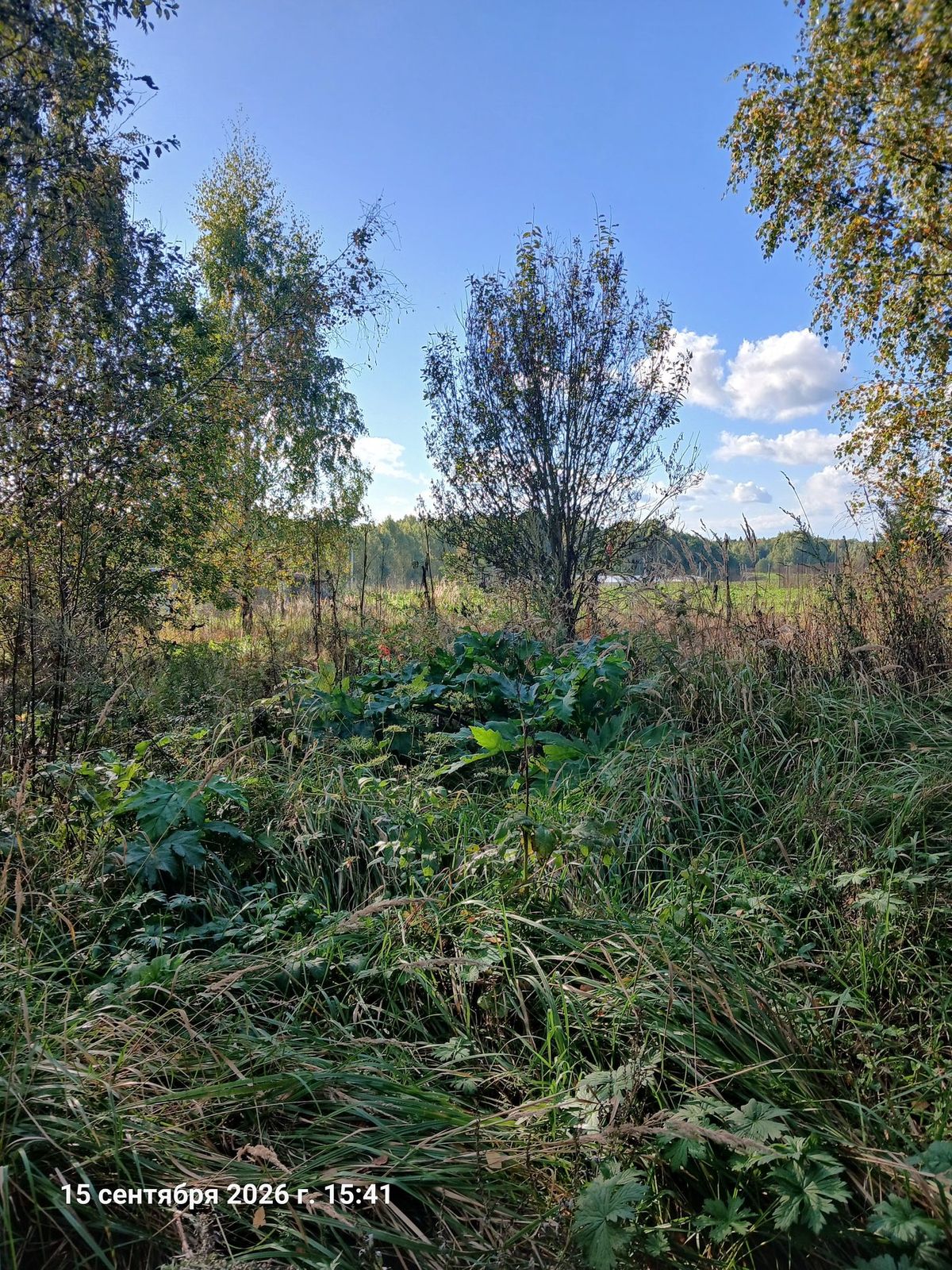 Продажа участка 12,13 сот. под ИЖС — Московская область