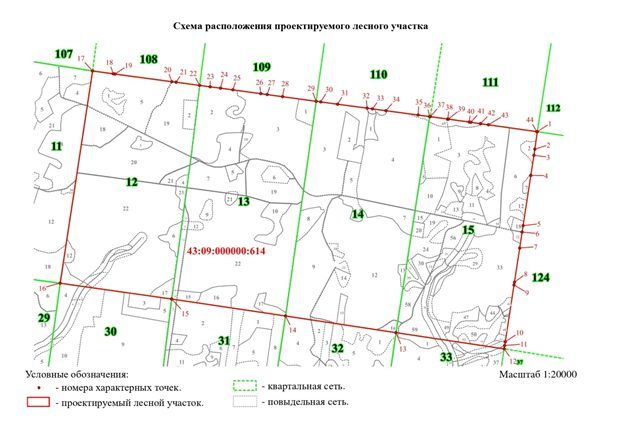 Аренда участка 889,6 га под лесопользование