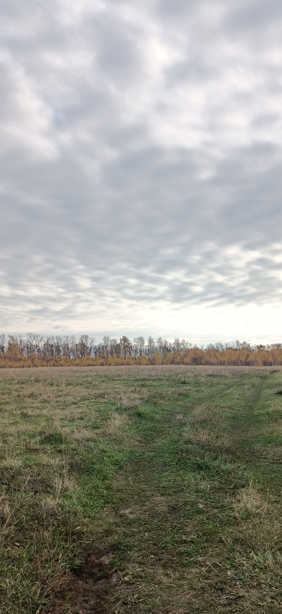 Аренда участка 10 сот. под ИЖС — Рязанская область, лот 1