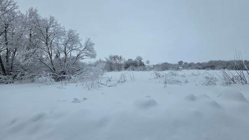 Продажа участка 10,1 сот. под ИЖС — обл. Ленинградская