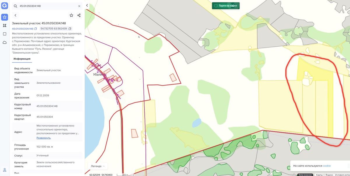 Аренда участка 10,2 га под сельхоз — Курганская область (050304:148)