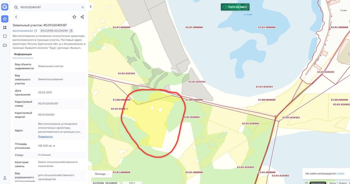 Аренда участка 14,8 га под сельхоз — Курганская область (020401:87)