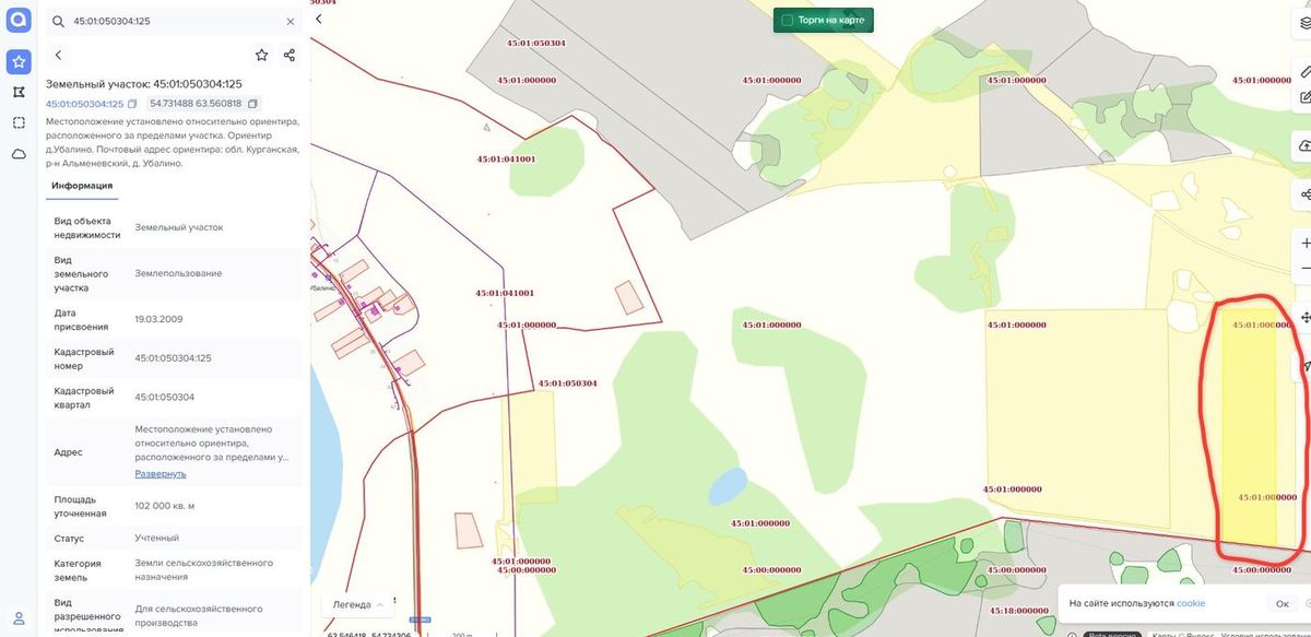 Аренда участка 10,2 га под сельхоз — Курганская область, лот 1