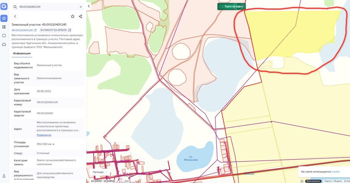 Аренда участка 55,2 га под сельхоз — Курганская область