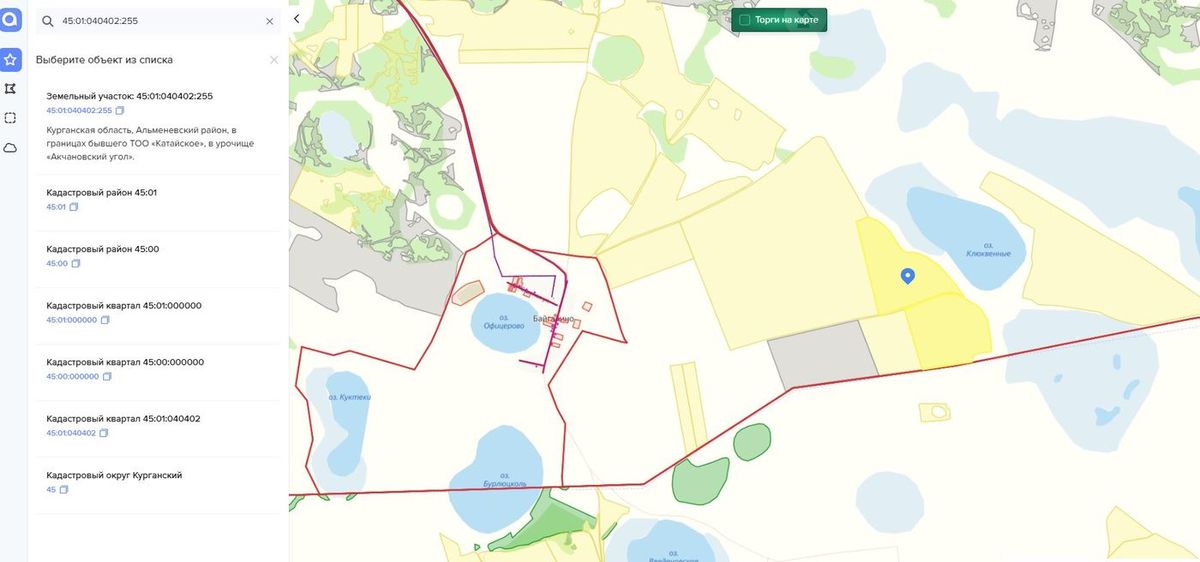 Аренда участка 80,1 га под сельхоз — Курганская область