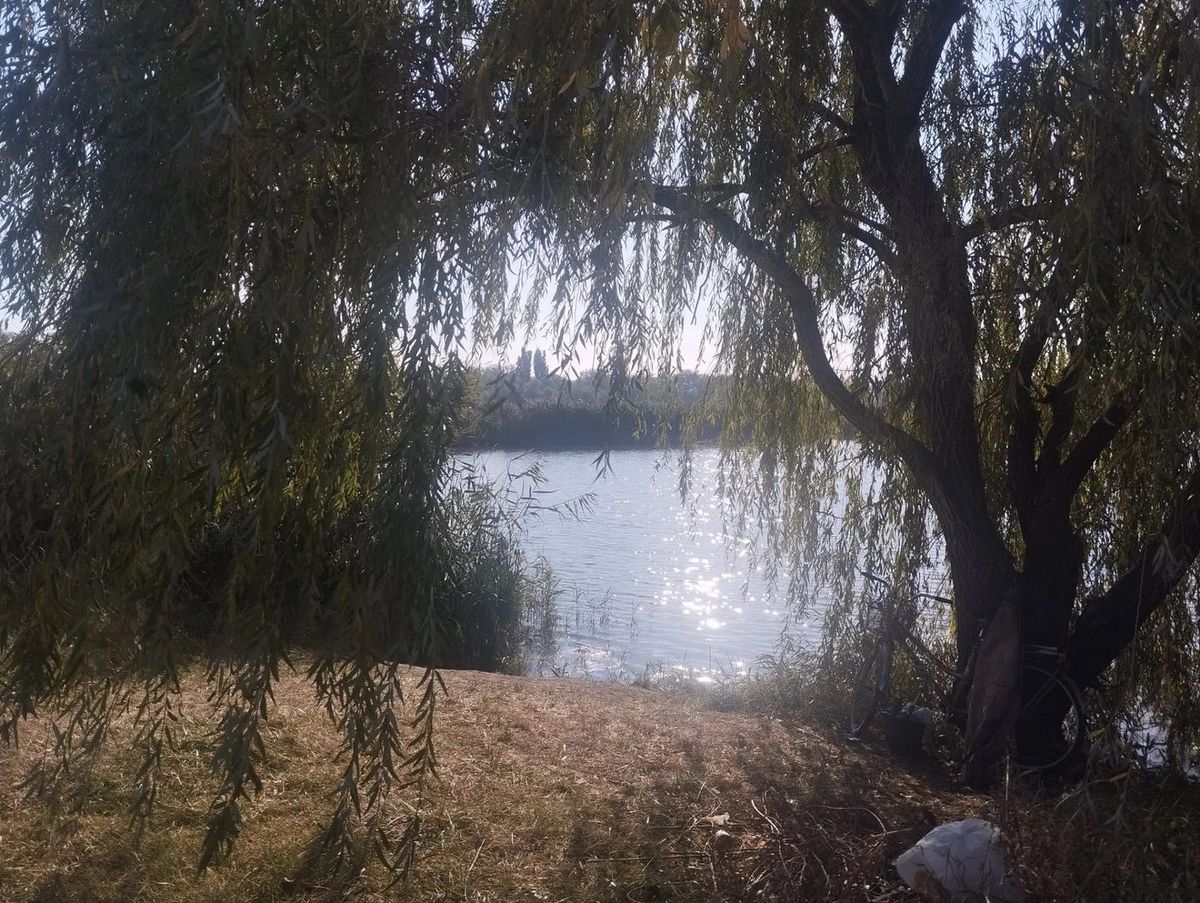 Аренда участка 7,97 га — Краснодарский край