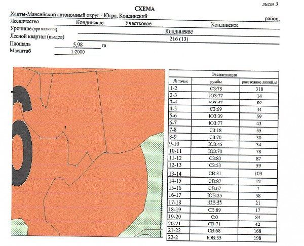Продажа участка 5,98 га под заготовку древесины