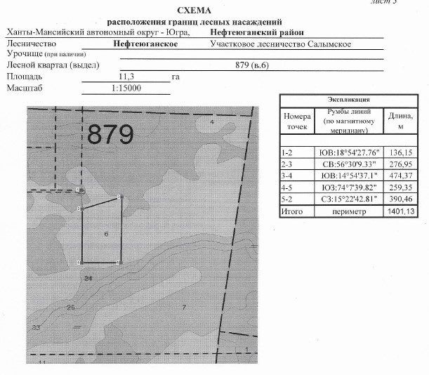 Продажа участка 11,3 га под заготовку древесины